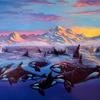         " ARCTIC MORNING "
                  11" X 14" 
             FINE ART PRINT  