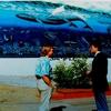 " CANNERY ROW MARINE MURAL "
               40 FT. X 125 FT.
          ACRYLIC        MURAL